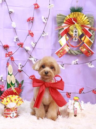 20230108モカくん